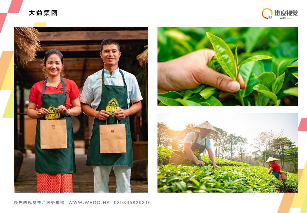 大益茶园商业摄影案例